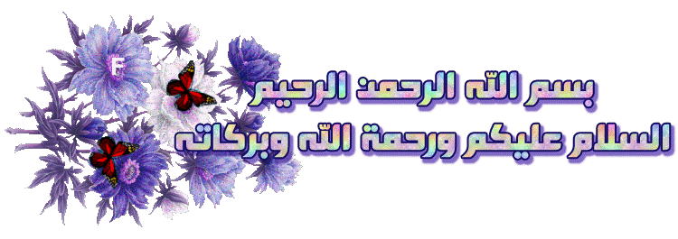 تحميل كتاب حلويات و رولي باللغة العربية لاول مرة وحصريا